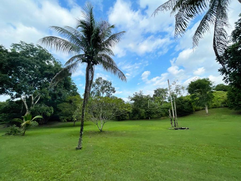 listing image with ID 46290