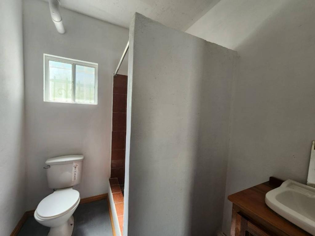 listing image with ID 41229