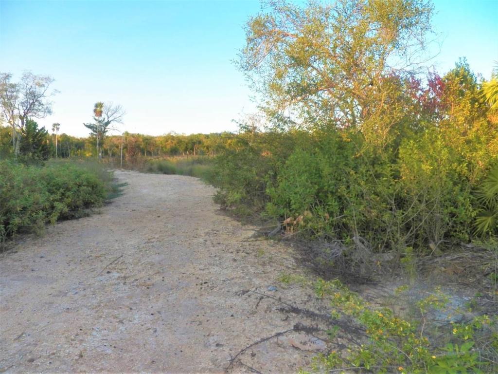 listing image with ID 42605