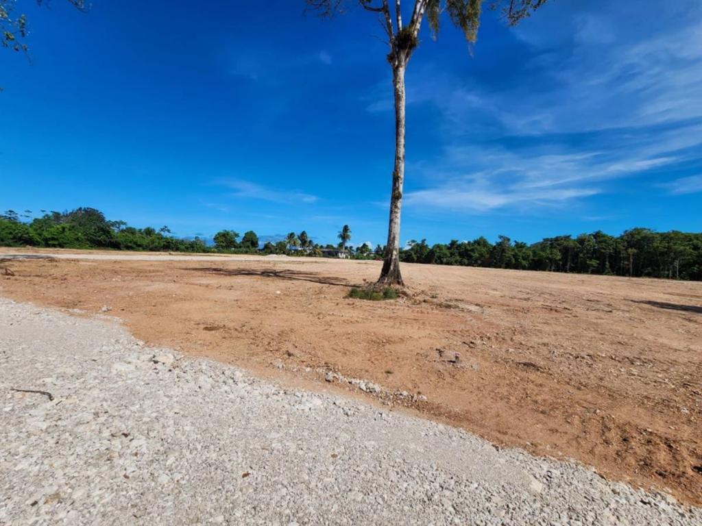 listing image with ID 42957