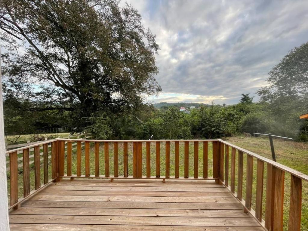 listing image with ID 40785