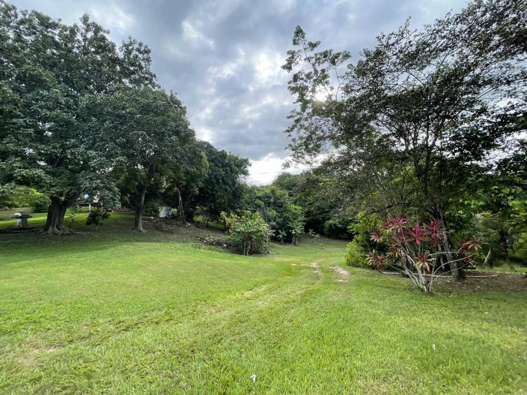 listing image with ID 46289
