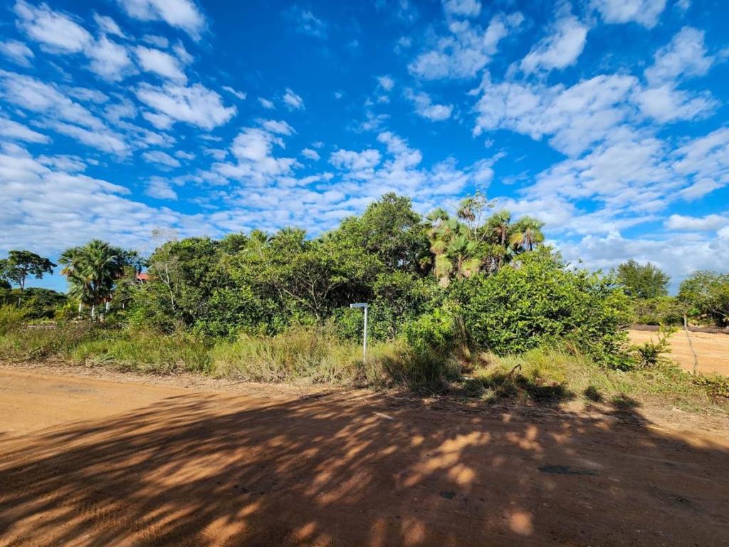 listing image with ID 41100