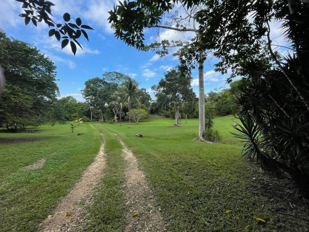 listing image with ID 46288