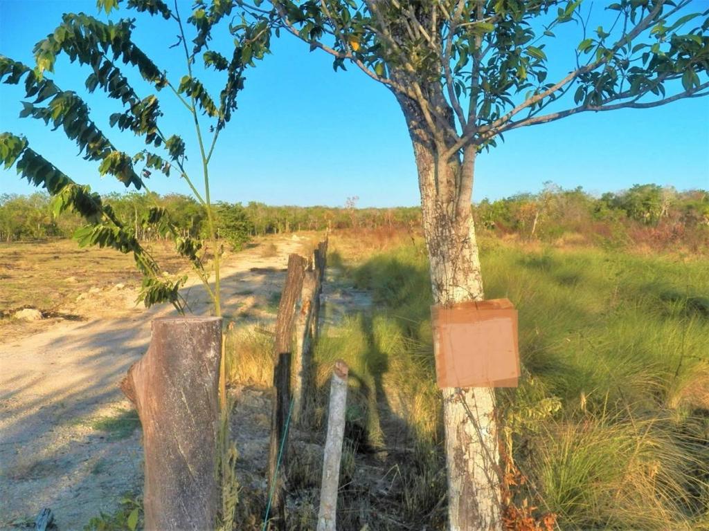 listing image with ID 42606
