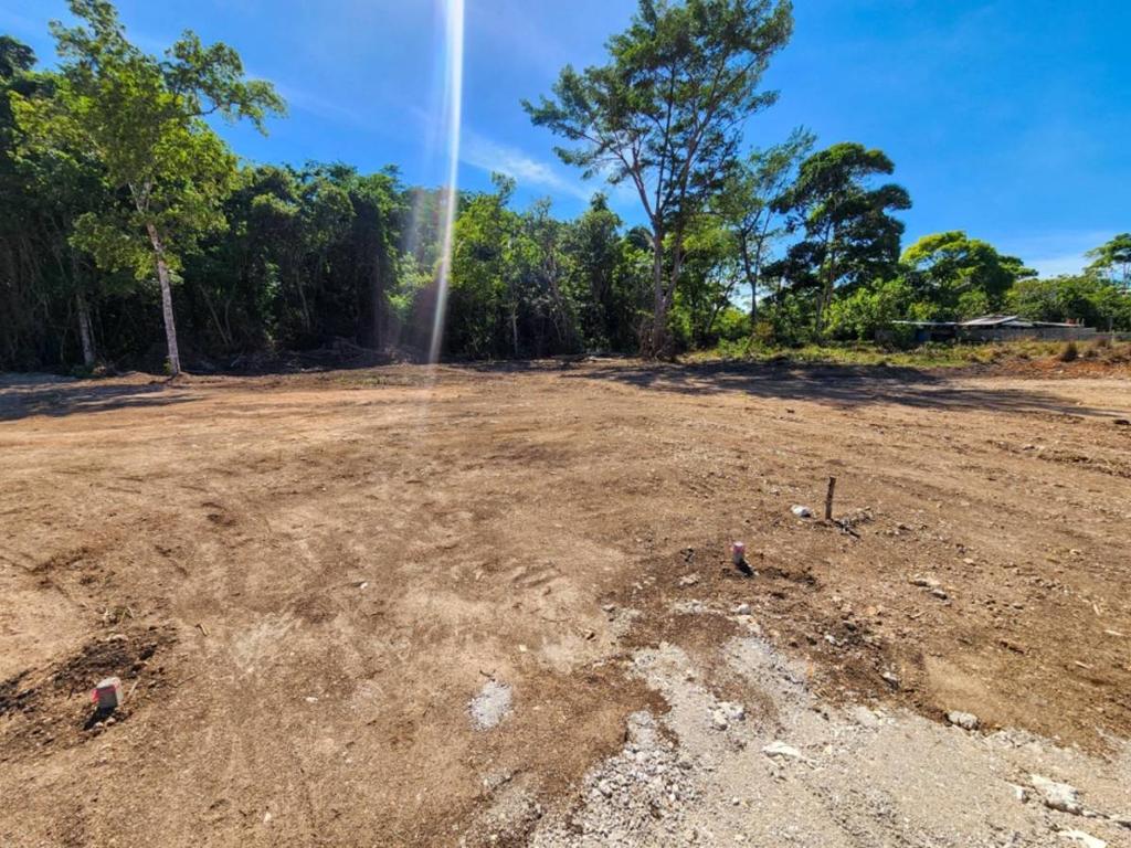 listing image with ID 42963