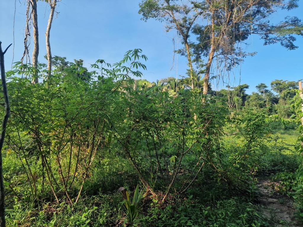 listing image with ID 42345
