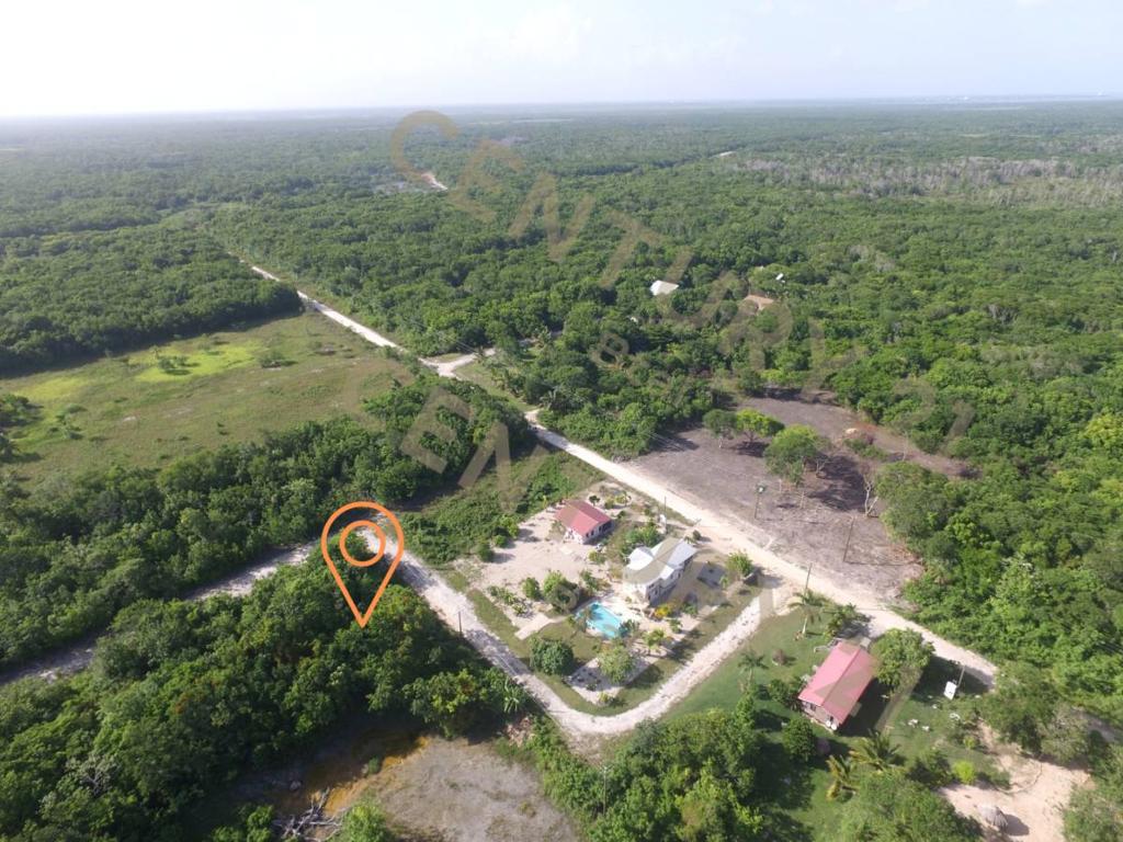 listing image with ID 42582