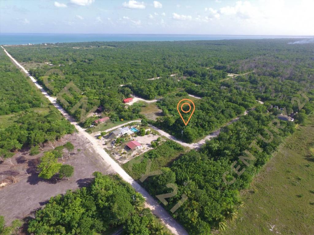 listing image with ID 42579