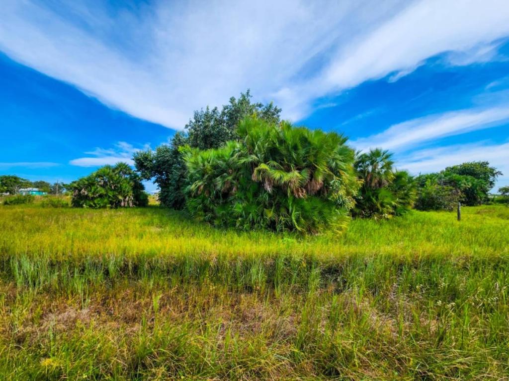 listing image with ID 43288