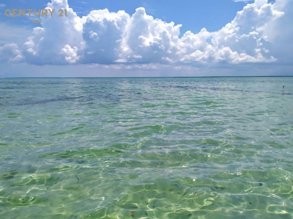listing image with ID 42586