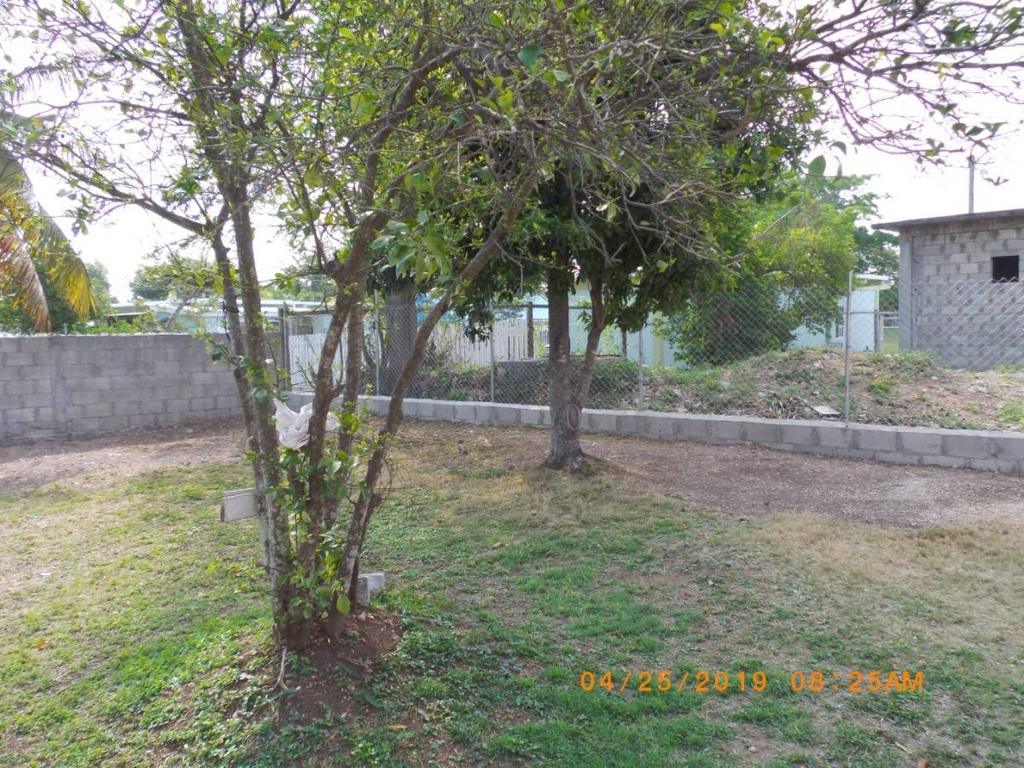 listing image with ID 42085