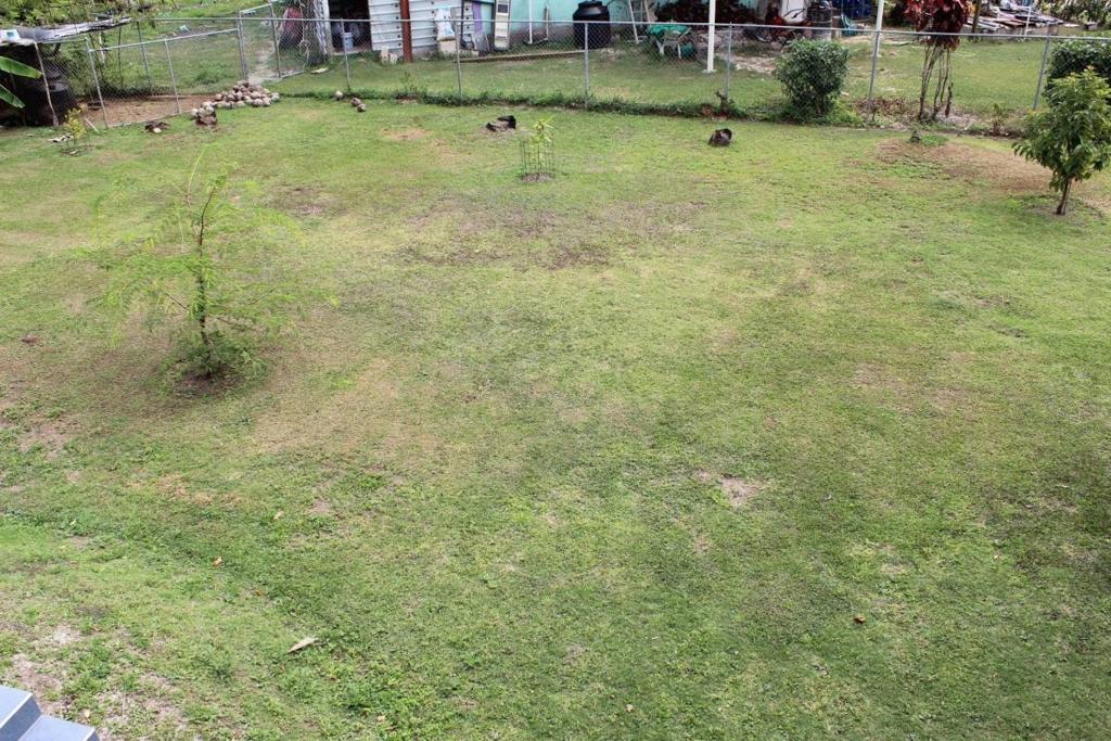 listing image with ID 44370