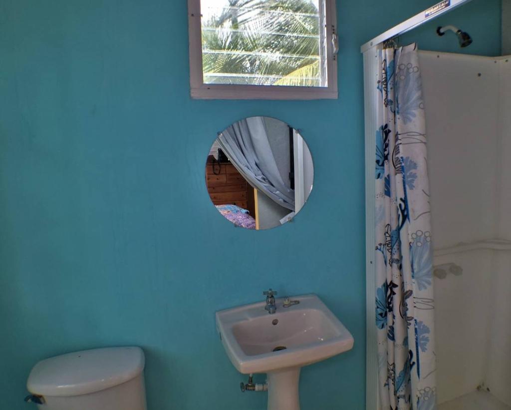 listing image with ID 40815