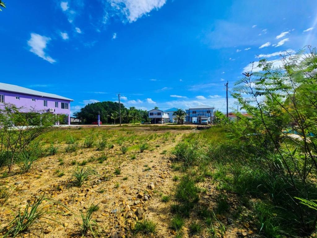 listing image with ID 41950