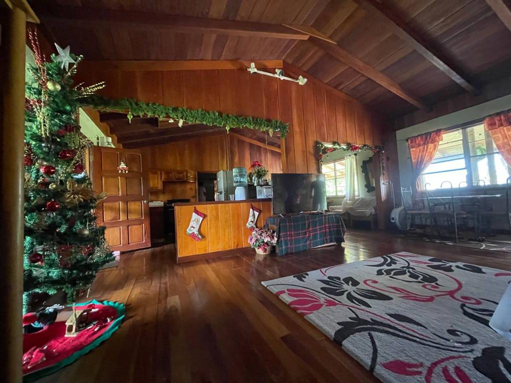 listing image with ID 40991