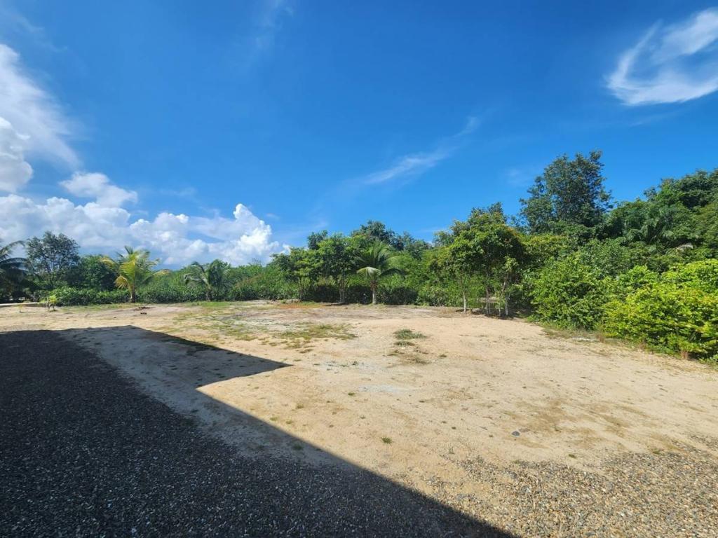 listing image with ID 46527