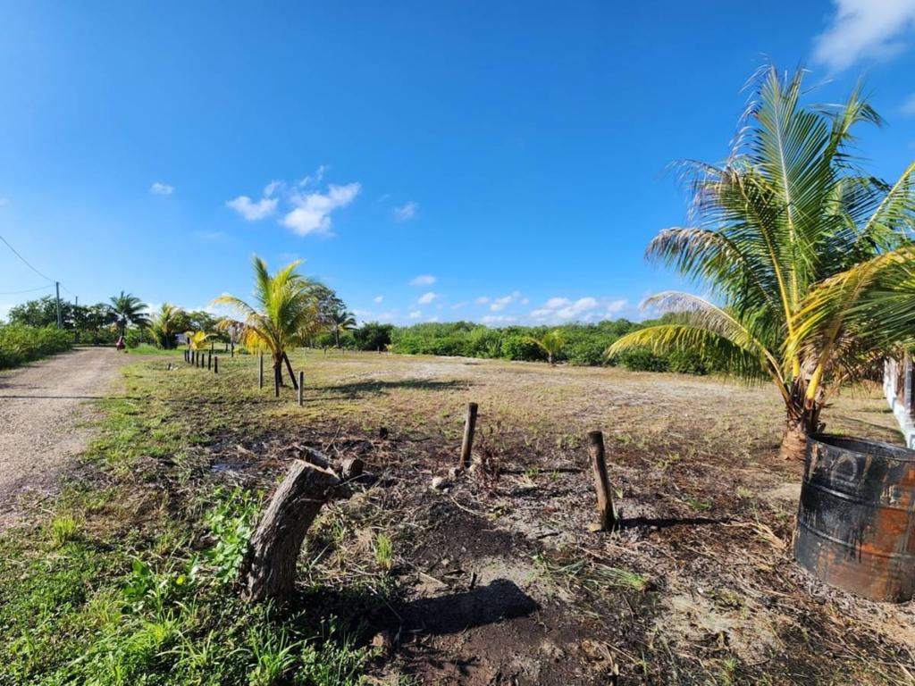 listing image with ID 40563