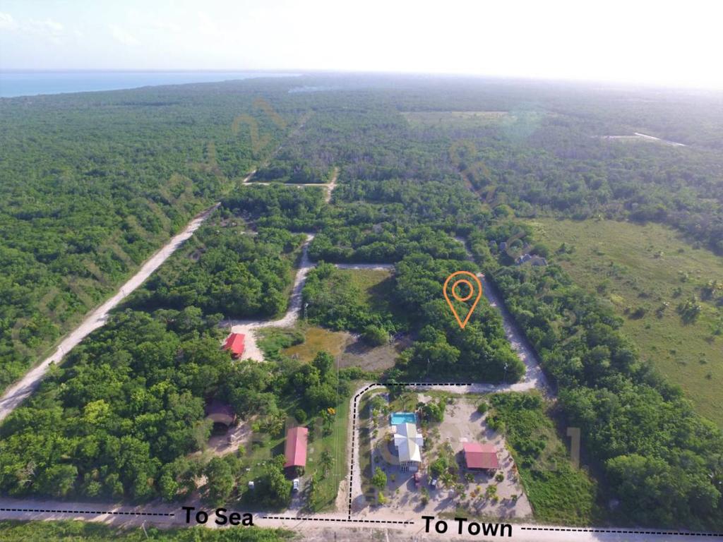 listing image with ID 42580