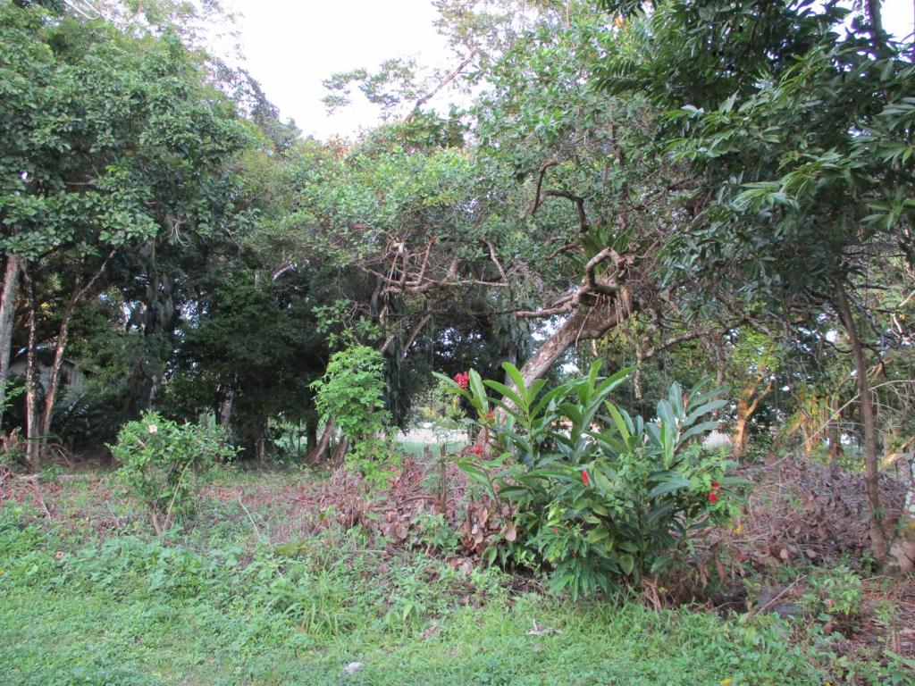 listing image with ID 43060