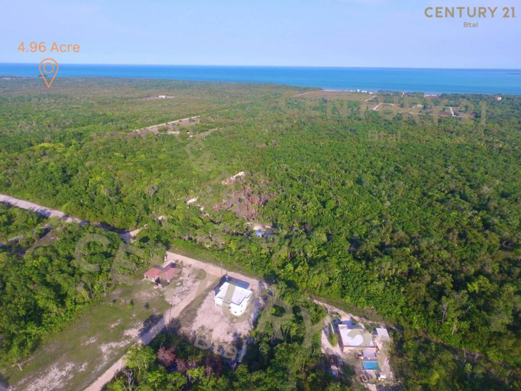 listing image with ID 42609
