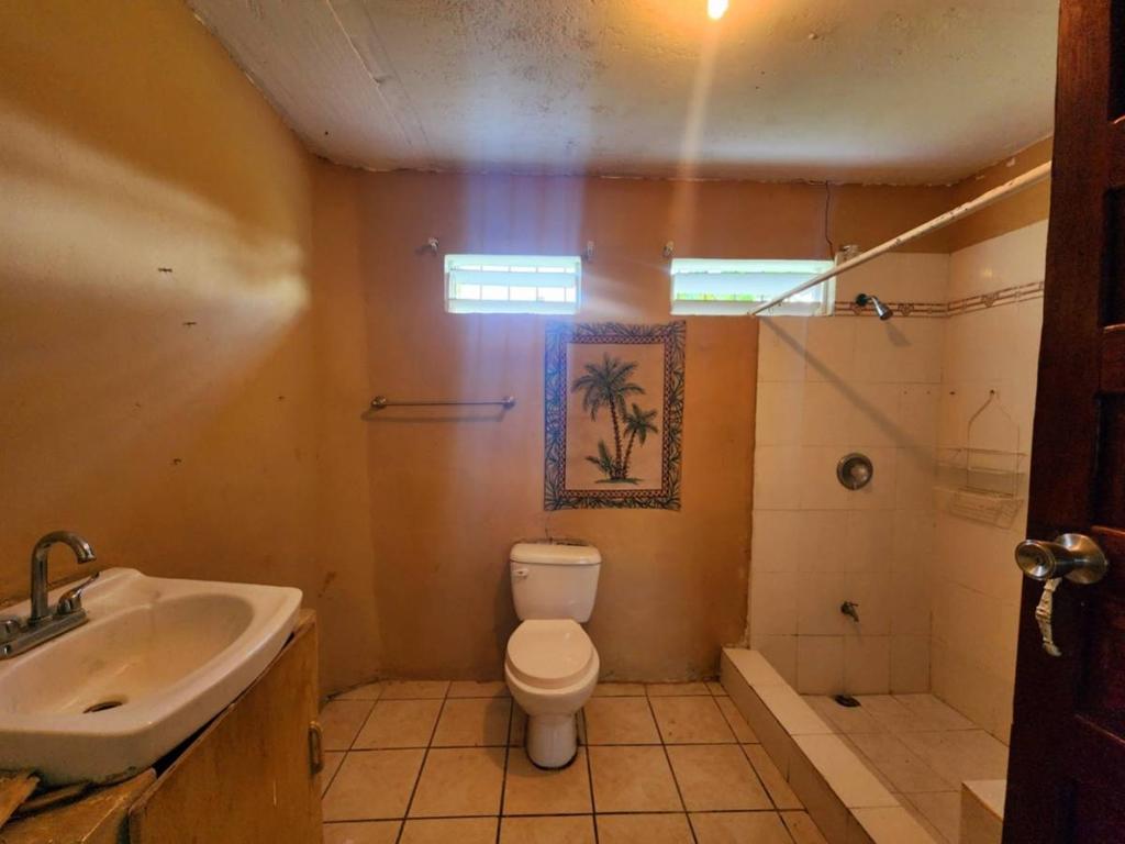 listing image with ID 42733