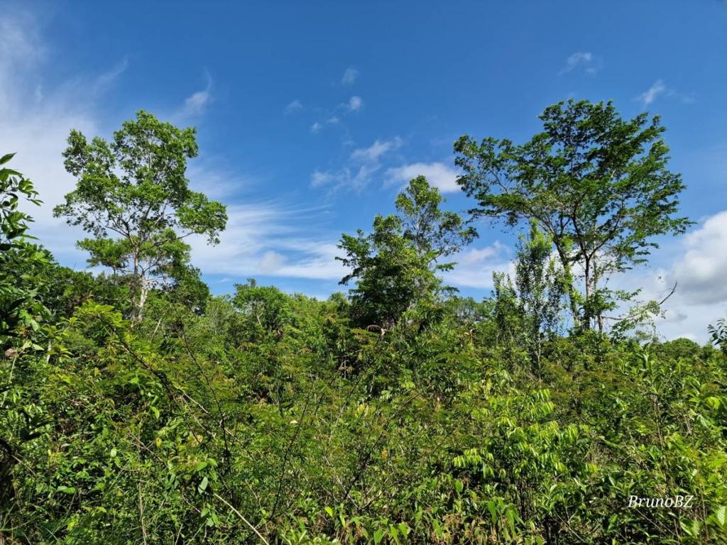 listing image with ID 42797