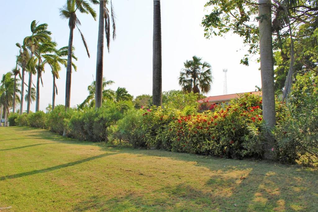 listing image with ID 40097