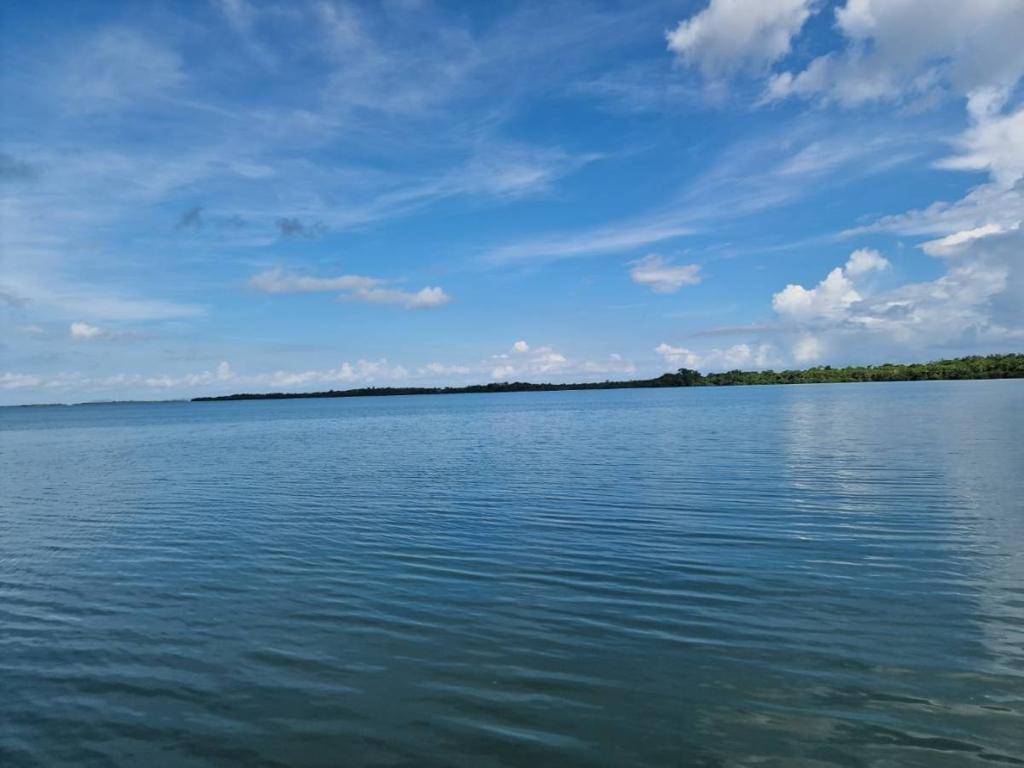 listing image with ID 40910