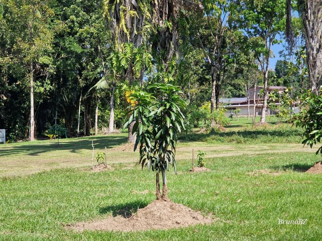 listing image with ID 45003