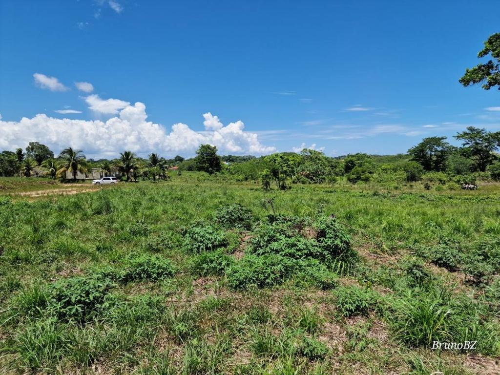 listing image with ID 43651