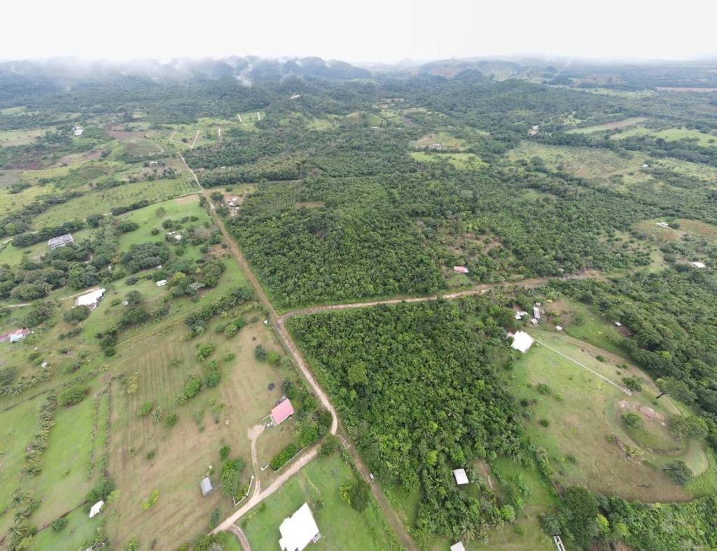 listing image with ID 45852
