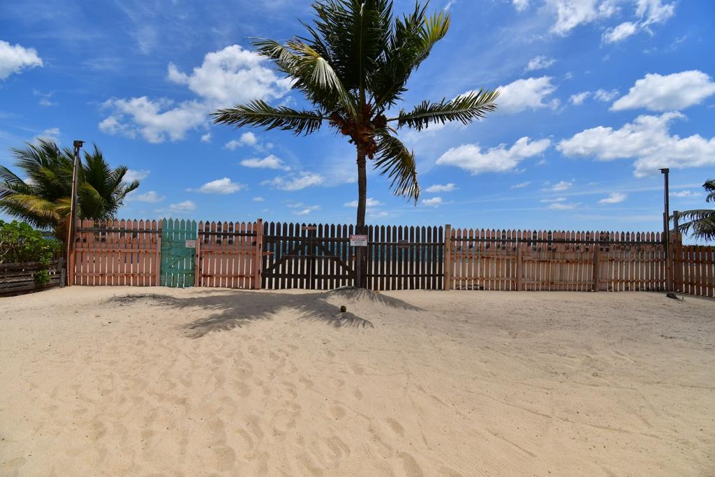 listing image with ID 39752