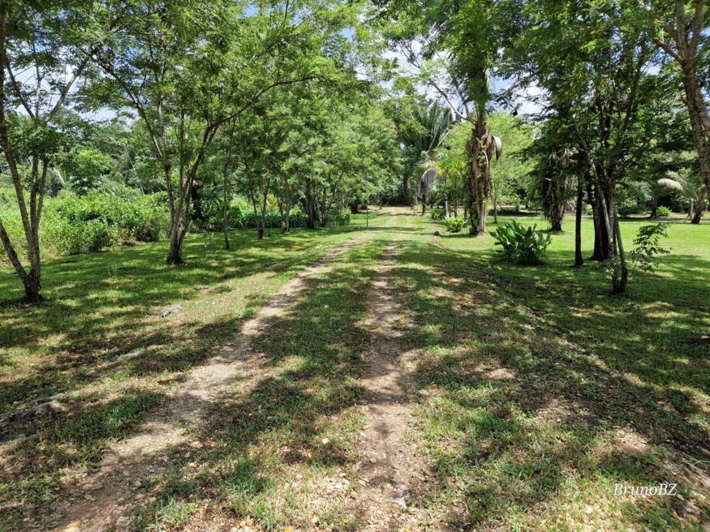 listing image with ID 40119