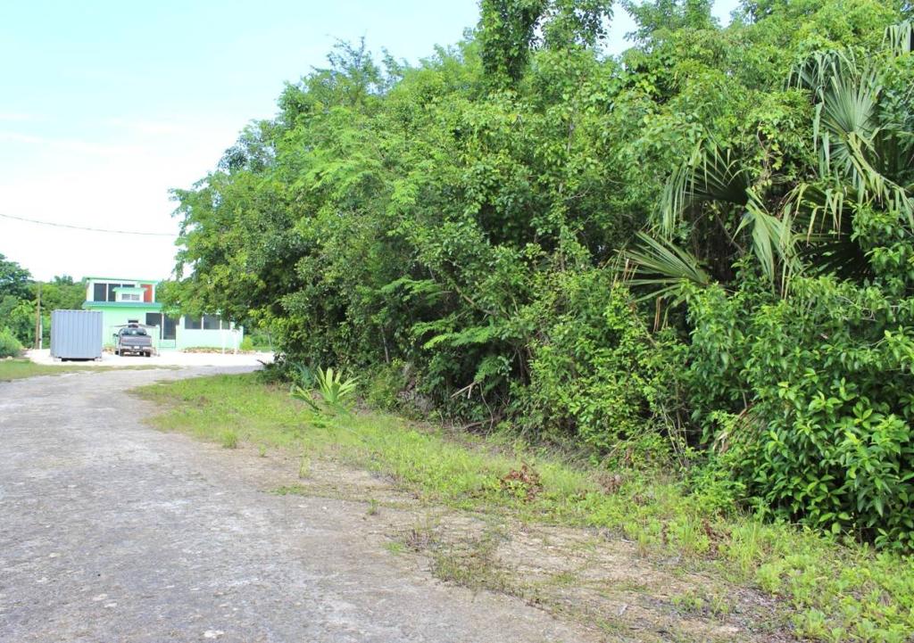 listing image with ID 42578