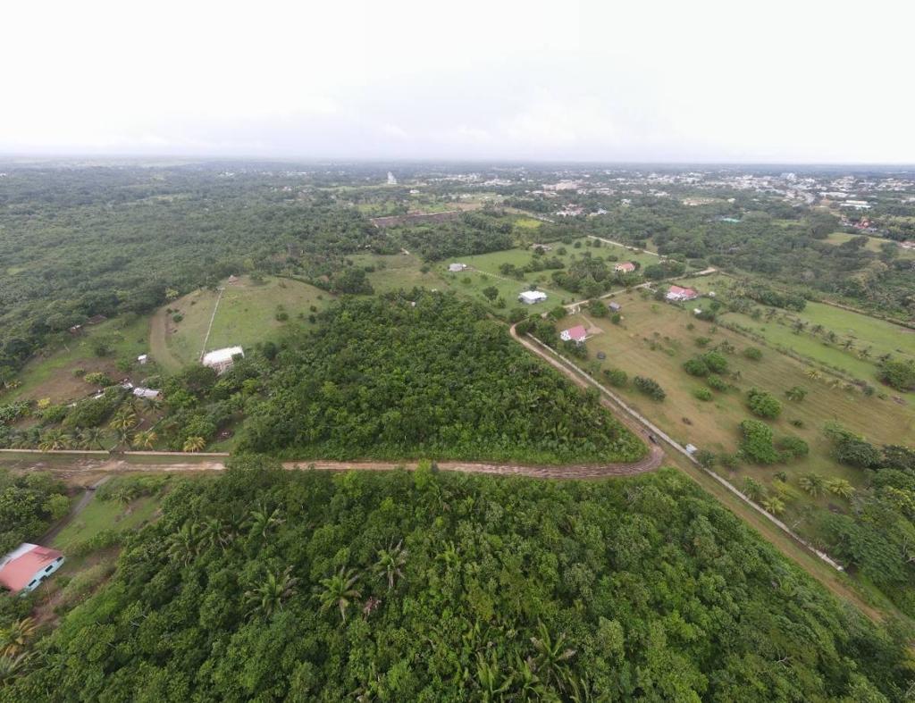 listing image with ID 45842