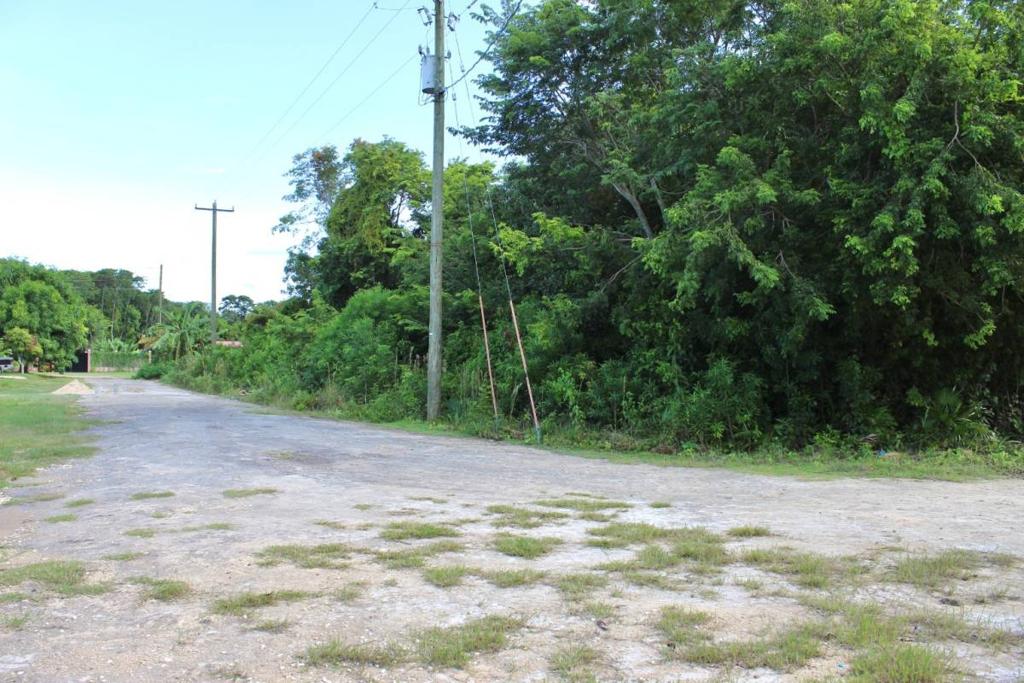 listing image with ID 42575