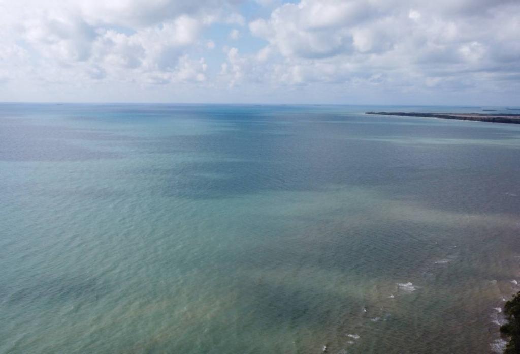 listing image with ID 46732