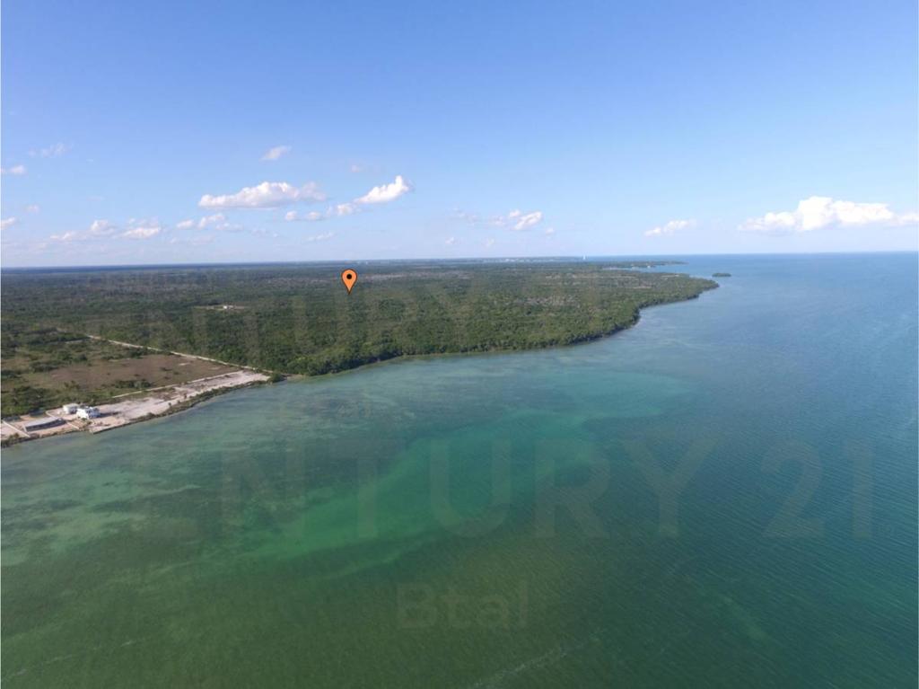 listing image with ID 42601
