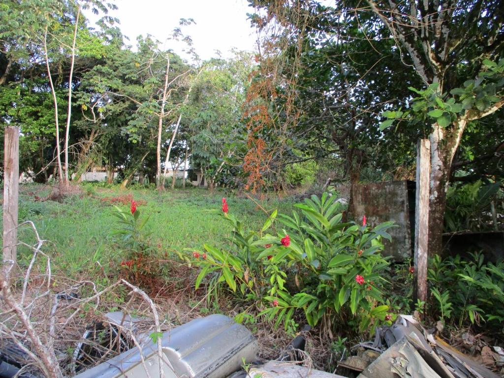 listing image with ID 43062