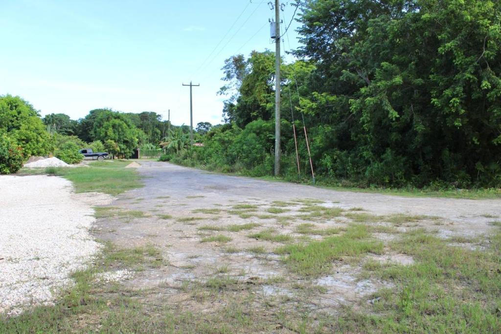 listing image with ID 42577
