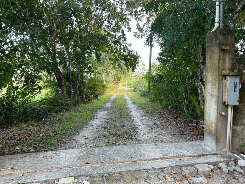 listing image with ID 40846