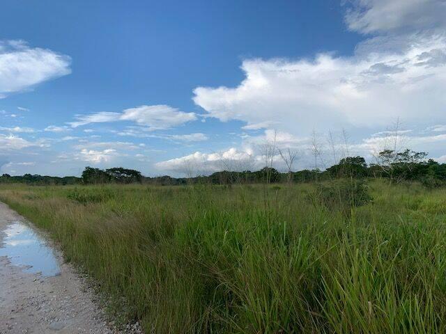 listing image with ID 44564