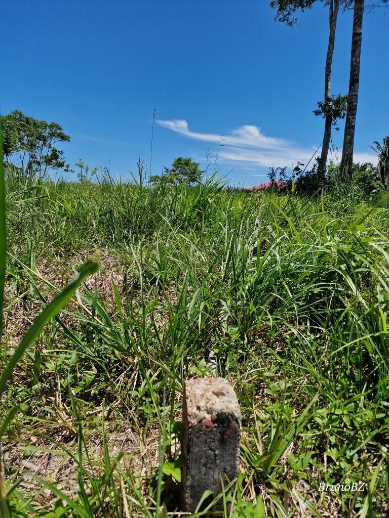 listing image with ID 43650