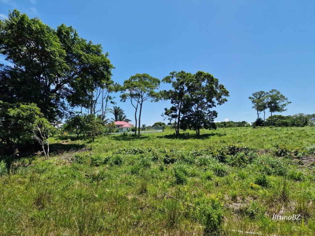 listing image with ID 43648