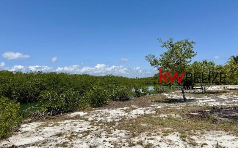 listing image with ID 39011