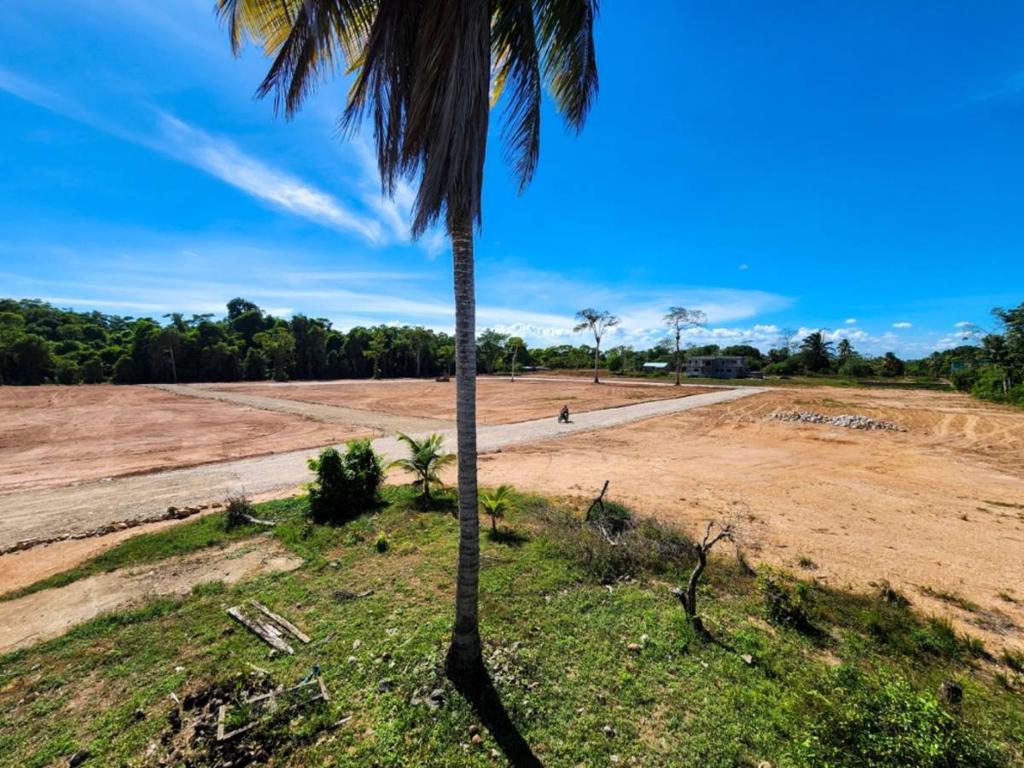 listing image with ID 42989