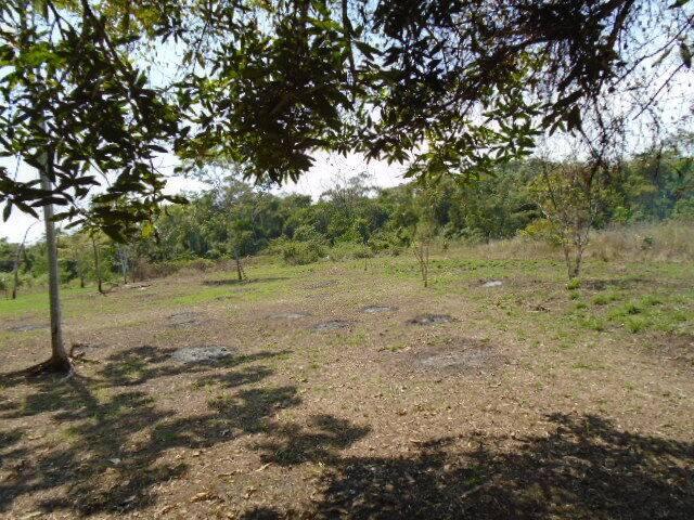 listing image with ID 43434