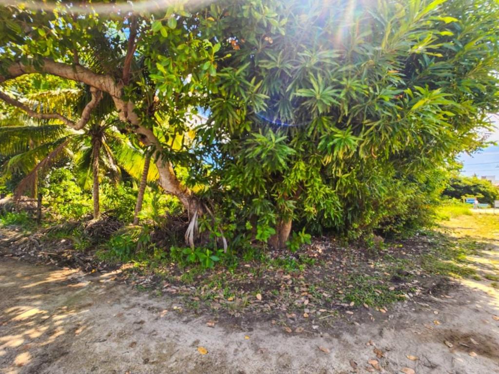 listing image with ID 41902