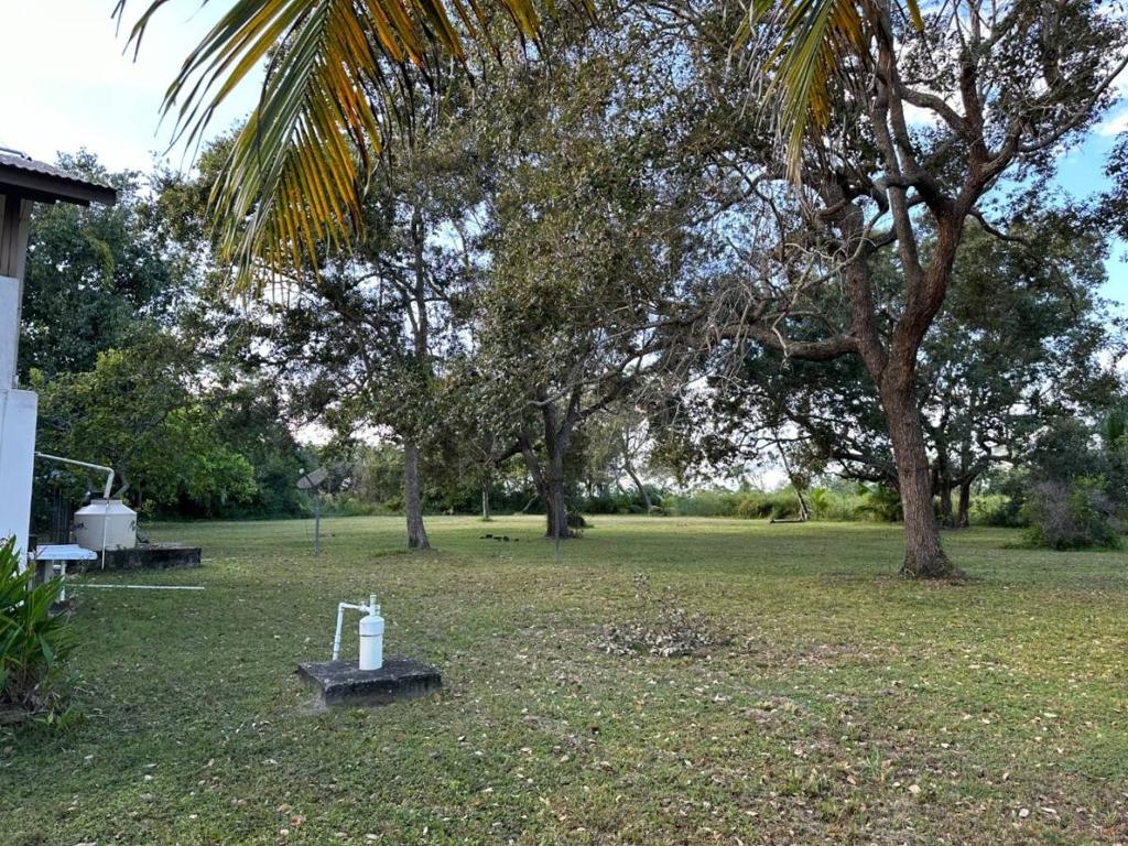 listing image with ID 40849
